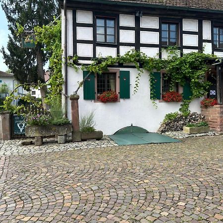 Exklusive Maisonette-Wohnung Am Rande Von Freiburg Merzhausen Kültér fotó
