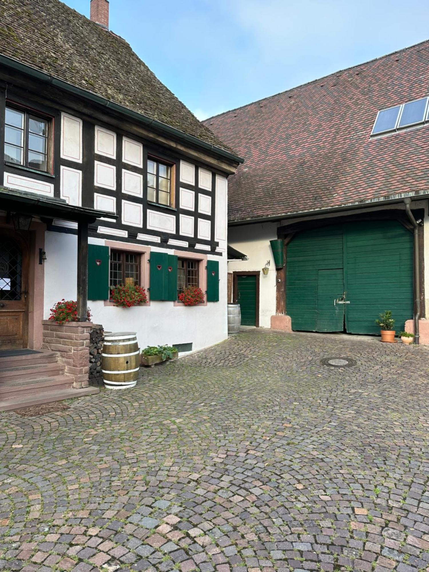 Exklusive Maisonette-Wohnung Am Rande Von Freiburg Merzhausen Kültér fotó